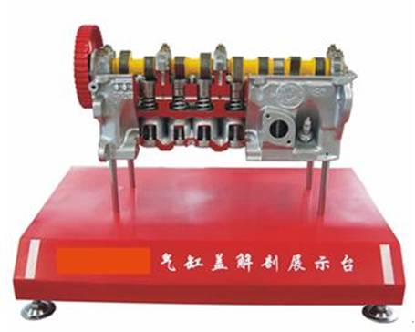 氣缸蓋解剖解剖模型（xíng）