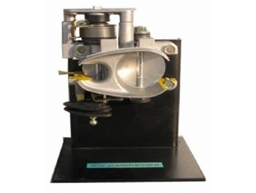 節氣門（mén）控（kòng）製元（yuán）件（jiàn）解剖（pōu）模型