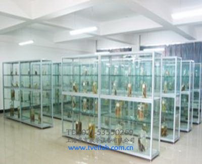 生物標（biāo）本櫃,上海荔枝视频app