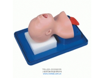 新生兒氣管插管訓練模型