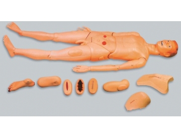 高級全功能男性護（hù）理人模型