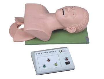 電子人體（tǐ）氣（qì）管插管訓（xùn）練模型（xíng）（帶牙齒受壓報警）