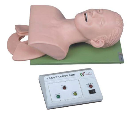 電子人體氣管插管訓練模型（帶牙齒受（shòu）壓報警（jǐng））