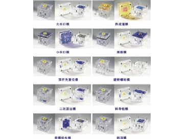 理論教學透明模具模（mó）型