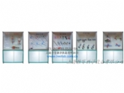 大型量具示（shì）教陳列櫃（guì）