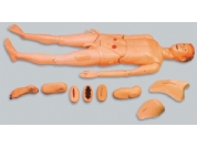 TRY-H135高級全功（gōng）能男性護理人模型